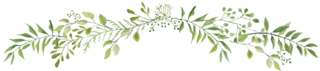 decorative leaves for bottom of page